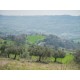 Properties for Sale_Farmhouses to restore_FARMHOUSE TO RENOVATE FOR SALE IN MONTEFIORE DELL'ASO in the Marche in Italy in Le Marche_22